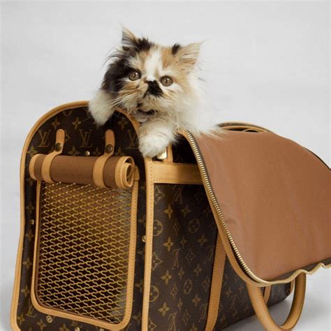 authentic louis vuitton pet carrier.